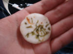 DSC01259.JPG