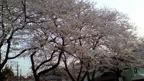 04b3253e.jpg