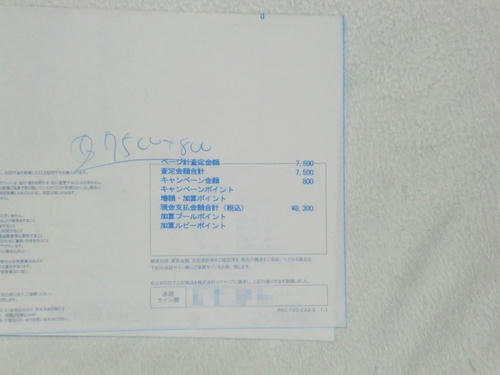 CIMG0656.JPG