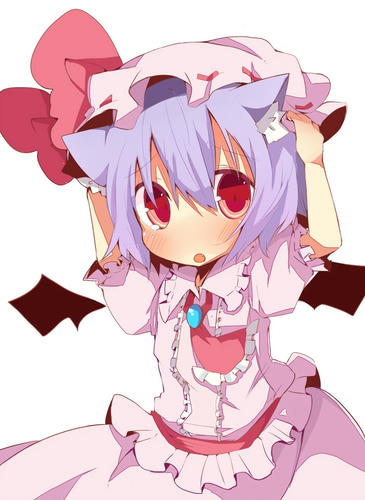 8103500.jpg