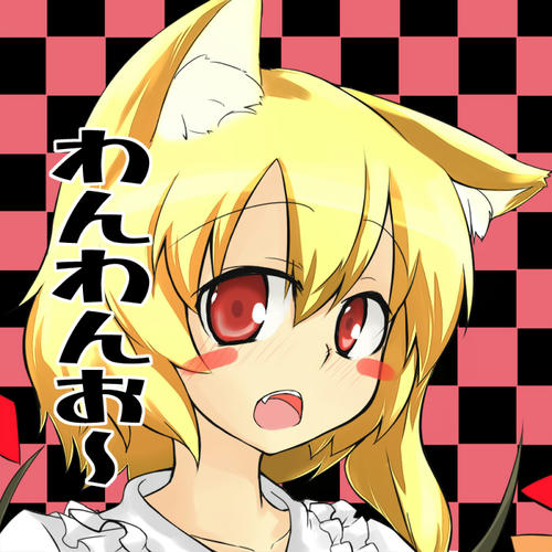 8824301.jpg