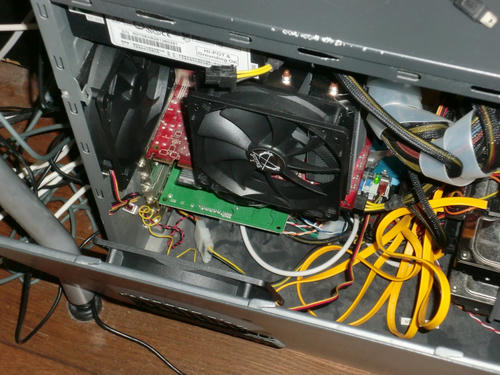 CIMG0803.JPG