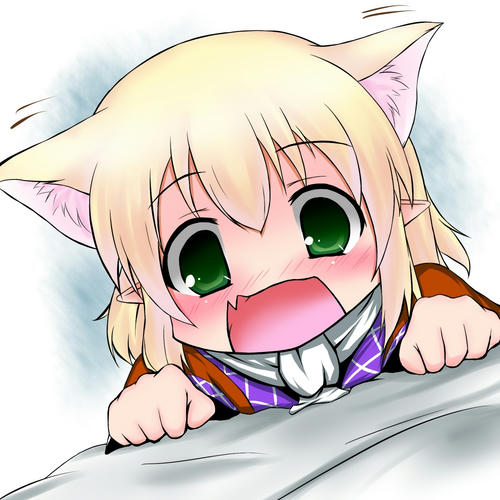 11887121.jpg