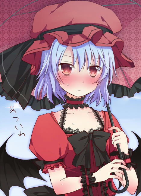 13188232.jpg