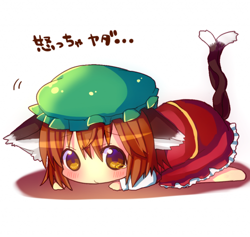15556370.png