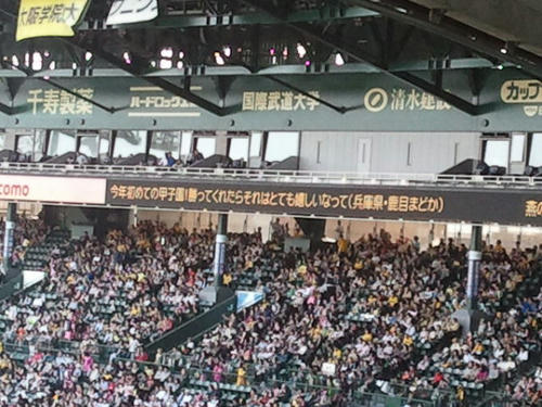287741089.jpg