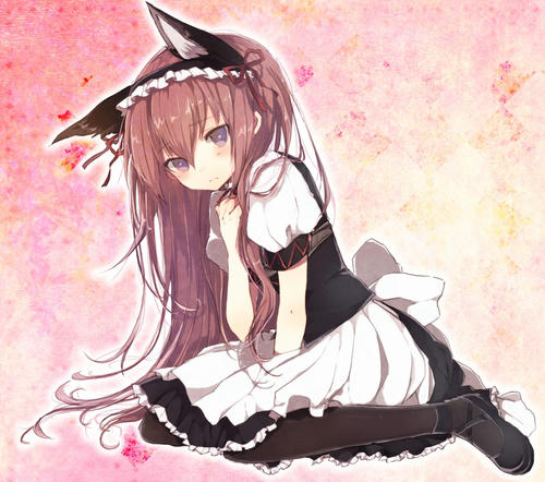 19013920.jpg