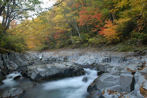 DSC_06763.jpg