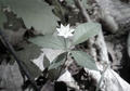 blog070704_1.jpg