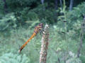 blog070811_2.jpg