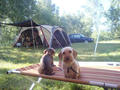 blog070812_1.jpg
