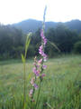 blog070812_2.jpg