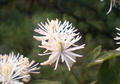 blog070812_3.jpg