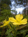 blog070813_2.jpg