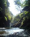 blog070826_2.jpg