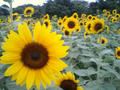 blog070902_1.jpg
