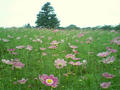 blog070904_1.jpg