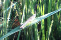 blog070908_1.jpg
