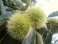 blog070924_1.jpg