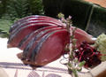 blog071012_1.jpg