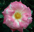 blog071013_1.jpg