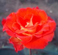 blog071013_2.jpg