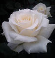 blog071013_3.jpg