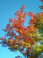 blog071028_3.jpg