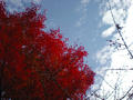 blog071103_1.jpg