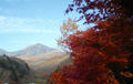 blog071103_2.jpg