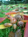 blog071111_1.jpg