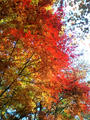 blog071202_3.jpg