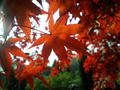 blog071202_4.jpg