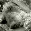 blog071231_1.jpg