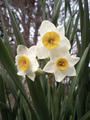 blog080120_1.jpg