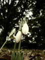 blog080120_2.jpg