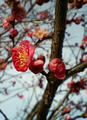 blog080211_1.jpg