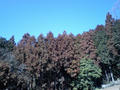 blog080224_1.jpg