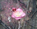 blog080302_2.jpg