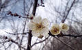 blog080320_1.jpg