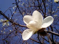 blog080322_1.jpg