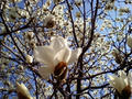 blog080322_2.jpg