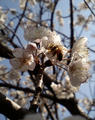 blog080322_3.jpg