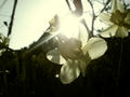 blog080327_1.jpg