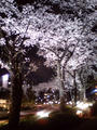 blog080328_1.jpg
