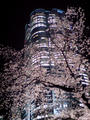 blog080328_2.jpg
