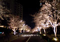 blog080328_5.jpg