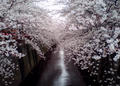blog080330_1.jpg