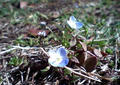 blog080401_1.jpg
