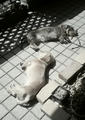 blog080406_1.jpg